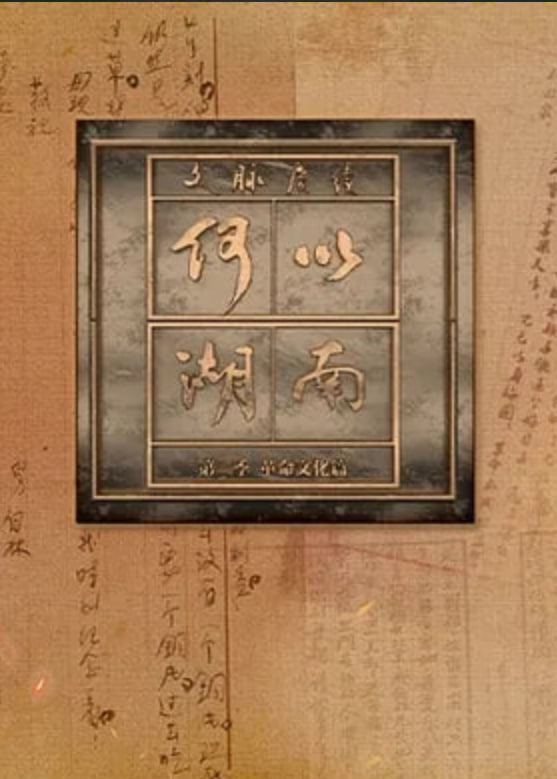 哥斯拉大战金刚2